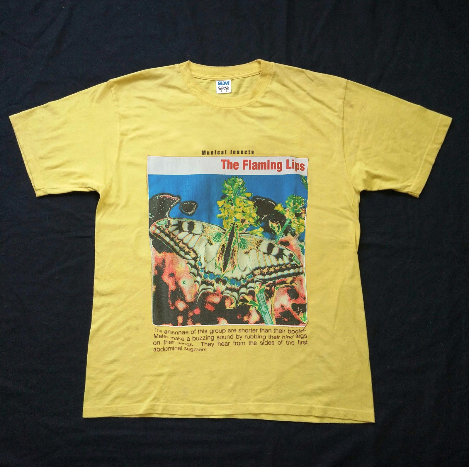 Vintage 90s Flaming Lips T-Shirt