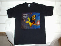 SMASHING PUMPKINS T-Shirt  1995 Vintage Shirt